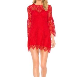NWT Bcbgmaxazria Daniella Lace A-Line Dress